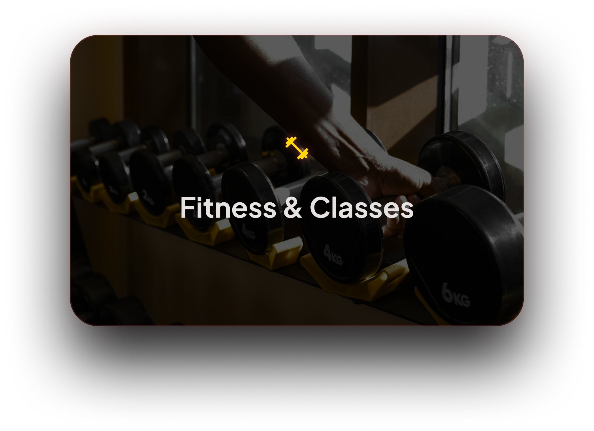 Fitness & Classes