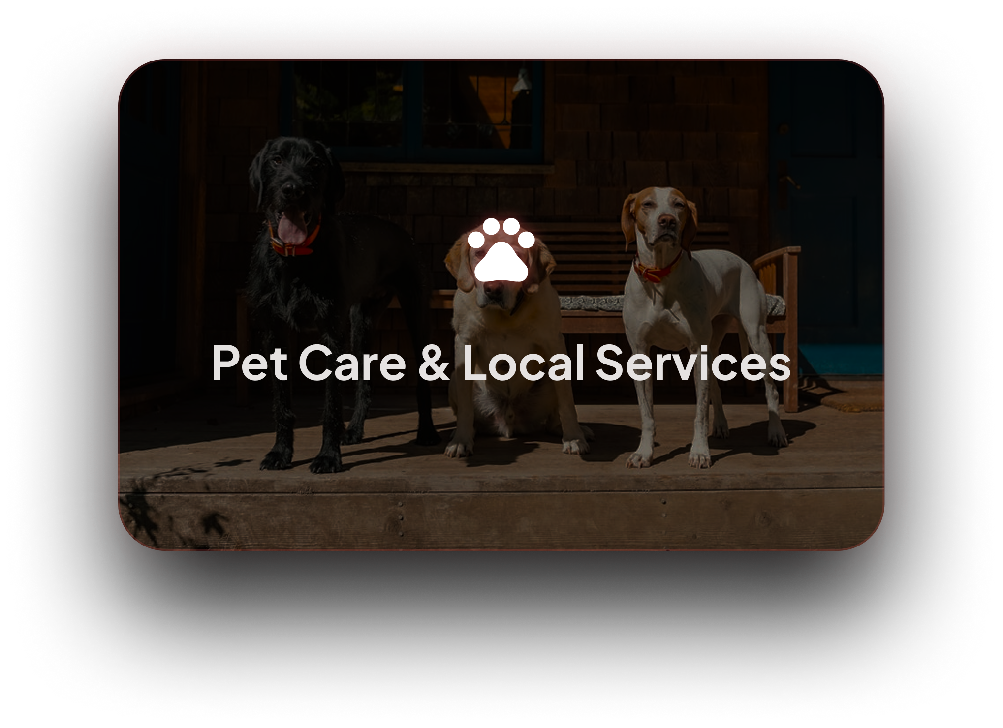 Pet Care & Local Services